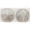 Image 1 : 2005 & 2007 AMERICAN SILVER EAGLES