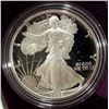 Image 3 : 1989 & 1994 PROOF AMERICAN SILVER EAGLE