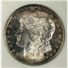Image 2 : 1881-S MORGAN DOLLARS ANACS MS 63