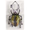 Image 1 : Bling Bling Stag Beetle Pin