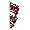 Image 2 : Native American Navajo Dance Sash