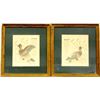 Image 1 : 2 Vintage Navajo Bobwhite Quail Prints by Nailor