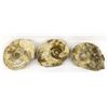 Image 1 : 3 Large Ammonite Fossils