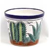 Image 2 : Talavera Cactus Pottery