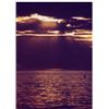Image 1 : Light On Dark Water