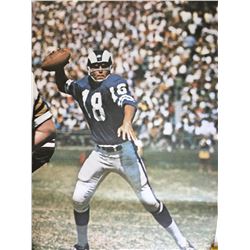 Roman Gabriel Sports Illustrated Poster