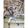 Image 1 : Roman Gabriel Sports Illustrated Poster