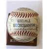 Image 2 : Minnesota Twins Signed Ball 1970