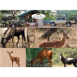 Phillip Bronkhorst Safaris