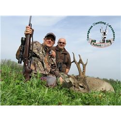 Safari Art - Roe Deer