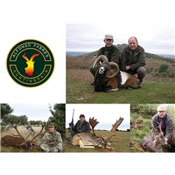 Hunt In Spain