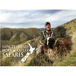 New Zealand Horn & Antler Safaris