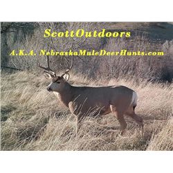 Scott Outdoors