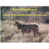 Image 1 : Scott Outdoors