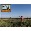 Image 1 : DuckHorn Outdoor Adventures - Youth Pheasant Hunt