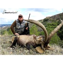 Ibex Hunt Spain