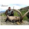 Image 1 : Ibex Hunt Spain