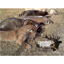 Comstock Premier Lodge