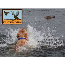 DuckHorn Adventures - Duck Hunt
