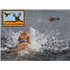 Image 1 : DuckHorn Adventures - Duck Hunt