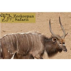 Zeekoepan Safaris