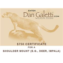 Dan Galetti Wildlife Studio