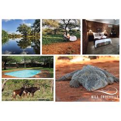 Nile Crocodile Safaris