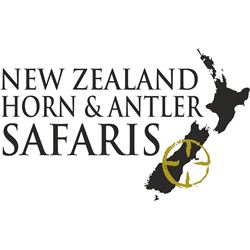 New Zealand Stag & Arapowa Ram