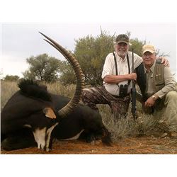7 Day Sable OR Roan Antelope Bull Hunt for One Hunter and One Non-Hunter
