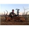 Image 2 : African Safari in Namibia for Two Hunters  & Two Non-Hunters