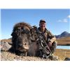 Image 1 : Greenland Musk Ox and Reindeer Summer/Fall Hunt
