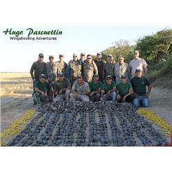 Argentina Dove Hunt for 4 Hunters