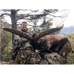 Spain Ibex hunt for Two Hunters INCLUDING Trophy Fees!