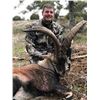 Image 2 : Spain Ibex hunt for Two Hunters INCLUDING Trophy Fees!