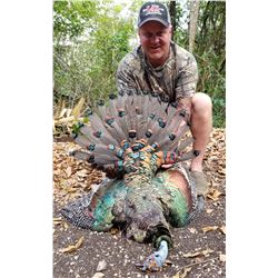 Balam Outfitters 7 Day Mexican Campeche 3 species Jungle Hunt for Two Hunters