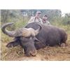 Image 1 : African Safari for 2 Hunters on an Exclusive Big-5 Hunting Area.