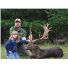 Image 3 : Trophy Fallow Deer Hunt in Wisconsin