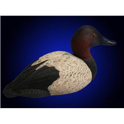 Hand Carved Canvasback Donated by Tom Fisher.