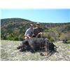 Image 2 : Texas Wild Boar & Sika Stag Hunt, 1 Hunter, 1 Observer