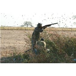 Argentina Dove Hunt for 4 Hunters