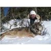Image 1 : Chase the “Grey Ghost of the North” 6-night/5-day Trophy Wolf Hunt  Kapuskasing, Ontario for 1 Hunte