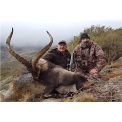 Hunt the  BECEITE IBEX  in the BECEITE CASTELLO REGION OF SPAIN With  MICHAEL VALENCIA