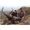 Image 1 : Hunt the  BECEITE IBEX  in the BECEITE CASTELLO REGION OF SPAIN With  MICHAEL VALENCIA