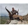Image 3 : Hunt the  BECEITE IBEX  in the BECEITE CASTELLO REGION OF SPAIN With  MICHAEL VALENCIA
