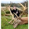 Image 1 : CLARENCE VALLEY TROPHY HUNTING WORLD CLASS PRIVATE GUIDED RED DEER TROPHY HUNTS Kaikoura, Canterbury