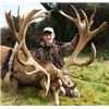 Image 3 : CLARENCE VALLEY TROPHY HUNTING WORLD CLASS PRIVATE GUIDED RED DEER TROPHY HUNTS Kaikoura, Canterbury