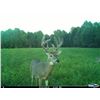 Image 2 : ULTIMATE YOUTH HUNTING PACKAGE  REMINGTON .243 HUNTING PACKAGE & ONE KENTUCKY YOUTH WHITETAIL DEER