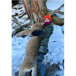 GET UP CLOSE & PERSONAL WITH COLORADO BIG GAME!