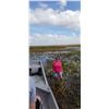 Image 4 : PRIVATE EVERGLADES EXPERIENCE FOR 6 PEOPLE