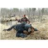 Image 1 : BLACK BEAR 5 DAY HUNT SASKATCHEWAN CANADA FOR 1 HUNTER